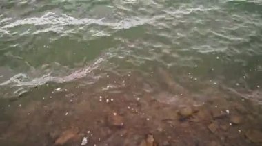 Riverbank çamurlu suyla