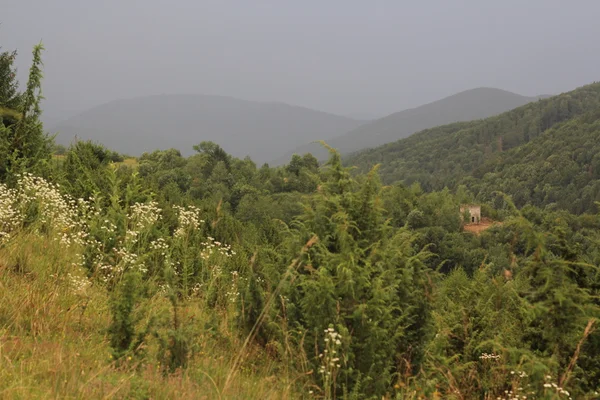 dağlar tepeler, yaz