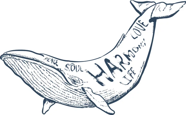 vektör çizim balina, deniz ile el çizilmiş yazı,