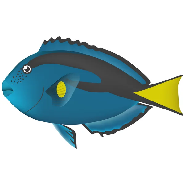 ภาพประกอบชีวิตปลาทะเลจริง — ภาพเวกเตอร์สต็อก