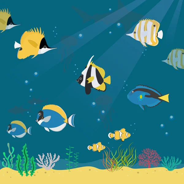 Marine life collection illustration — Stock Vector