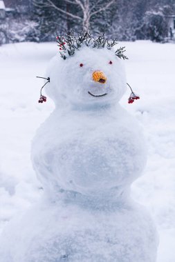 Kar heykeli, kardan adam, kış eğlencesi