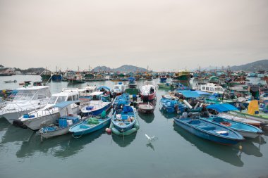 Hong Kong, Çin-Mar 10, 2016: Cheung Chau, Cheung Chau limanda kalabalık balık tutma Hong Kong, her yıl binlerce yerel ve yurtdışı turist çeken bir ada olduğunu