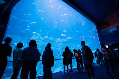 Ocean Park, Hong Kong - 16 Ocak 2021: Ocean Park Hong Kong. Eğlence parkındaki turist grubu Hong Kong 'un en popüler tatil beldelerinden biridir.