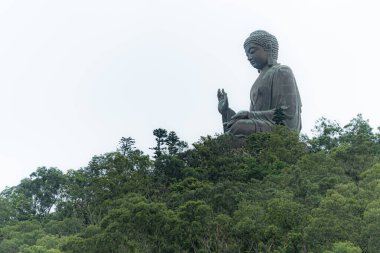 Lantau Adası 'ndaki Ngong Ping' de Tian Tan Buddha heykeli. Hong Kong 'da önemli ve popüler. 