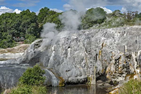 Whakarewarewa гейзерів на Te Pui термальним парком в долині геотермальних Роторуа, Нова Зеландія — стокове фото
