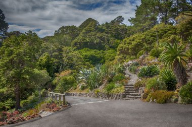 Botanik Bahçesi Wellington, Yeni Zelanda