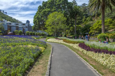 Wellington, Yeni Zelanda - 2 Mart 2016: Wellington Botanik Bahçesi, şehirdeki en büyük kamu Parkı, dinlenme ziyaretçi