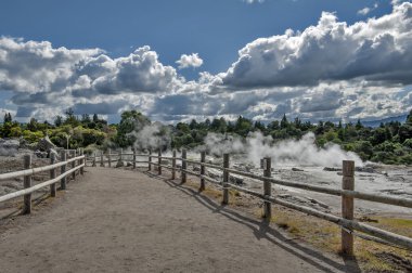 Whakarewarewa Geyser Jeotermal Vadisi Rotorua, Yeni Zelanda Te Pui termal Park