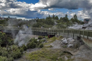 Whakarewarewa Geyser Jeotermal Vadisi Rotorua, Yeni Zelanda Te Pui termal Park