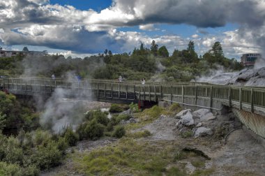 Whakarewarewa Geyser at Te Pui thermal park in geothermal valley of Rotorua, New Zealand clipart