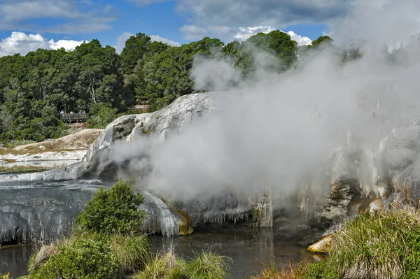 瓦间歇泉在 Te 培热公园在地热谷的新西兰罗托鲁阿 — 图库照片
