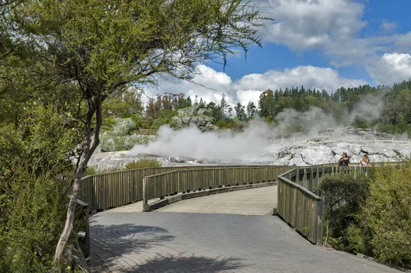 Whakarewarewa Geyser no parque termal Te Pui no vale geotérmico de Rotorua, Nova Zelândia — Fotografia de Stock