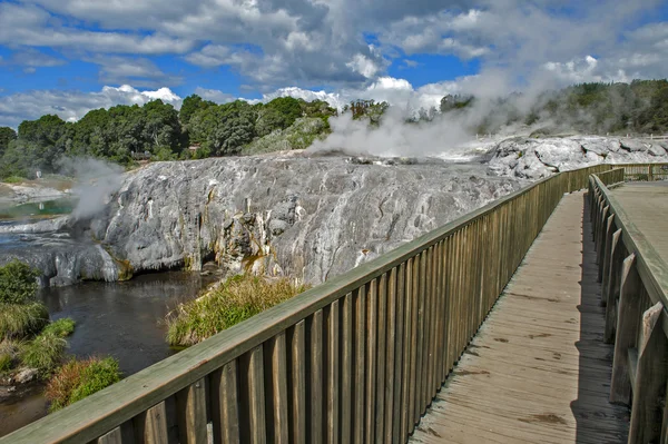 Whakarewarewa gejzír v Te Pui Termální park v geotermální údolí v Rotorua, Nový Zéland — Stock fotografie