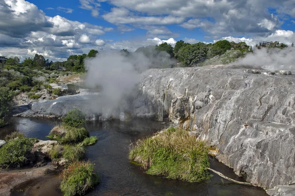 Whakarewarewa gejser på Te Pui thermal park i geotermisk valley i Rotorua, Nya Zeeland — Stockfoto