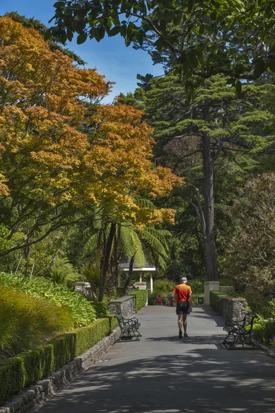 Wellington, Nueva Zelanda - 2 de marzo de 2016: Visitantes descansando en Wellington Botanic Garden, el parque público más grande de la ciudad — Foto de Stock
