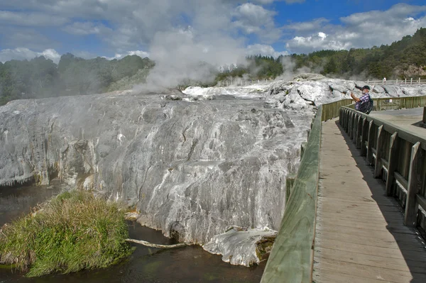 Whakarewarewa Geyser no parque termal Te Pui no vale geotérmico de Rotorua, Nova Zelândia — Fotografia de Stock