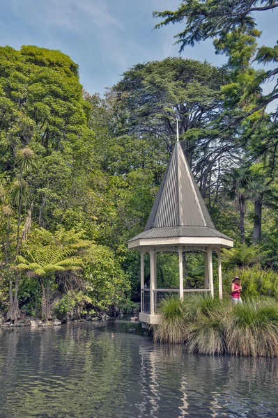 Wellington, Nova Zelândia - 2 de março de 2016: A lagoa de patos no Wellington Botanic Garden, o maior parque público da cidade — Fotografia de Stock