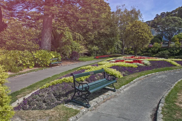Wellington, Nueva Zelanda - 2 de marzo de 2016: Wellington Botanic Garden, el parque público más grande de la ciudad capital de Nueva Zelanda — Foto de Stock