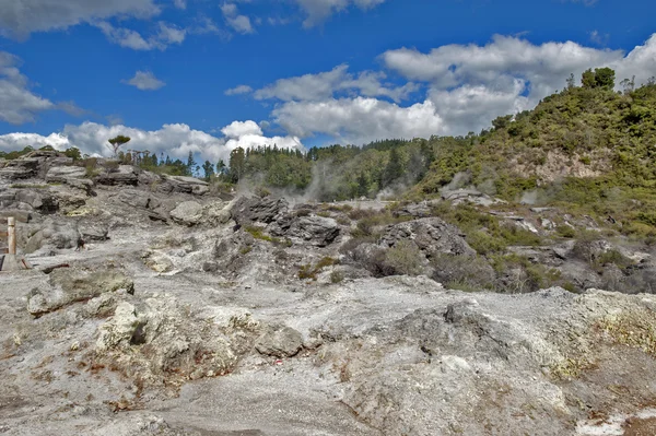 Whakarewarewa Geyser no parque termal Te Pui no vale geotérmico de Rotorua, Nova Zelândia — Fotografia de Stock