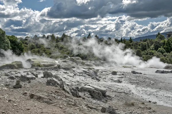 Whakarewarewa Geyser au parc thermal Te Pui dans la vallée géothermique de Rotorua, Nouvelle-Zélande — Photo