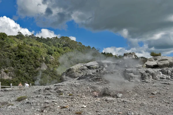 Whakarewarewa Geyser no parque termal Te Pui no vale geotérmico de Rotorua, Nova Zelândia — Fotografia de Stock