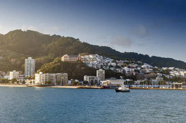 Wellington waterfront, north Island, Yeni Zelanda