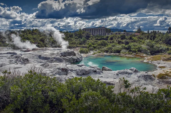 Whakarewarewa Geyser al parco termale Te Pui nella valle geotermica di Rotorua, Nuova Zelanda — Foto Stock