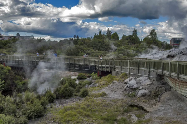 Whakarewarewa gejzír v Te Pui Termální park v geotermální údolí v Rotorua, Nový Zéland — Stock fotografie