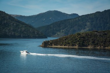 Marlborough sesler feribot Picton, Yeni Zelanda Wellington üzerinden görüldü
