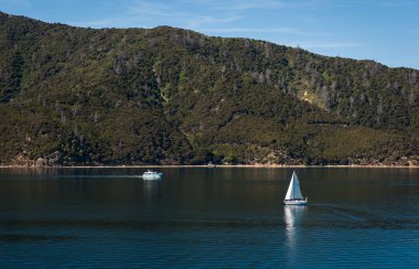 Marlborough sesler feribot Picton, Yeni Zelanda Wellington üzerinden görüldü