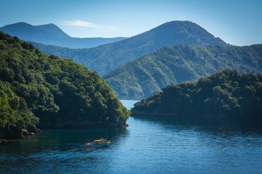 Marlborough sesler feribot Picton, Yeni Zelanda Wellington üzerinden görüldü