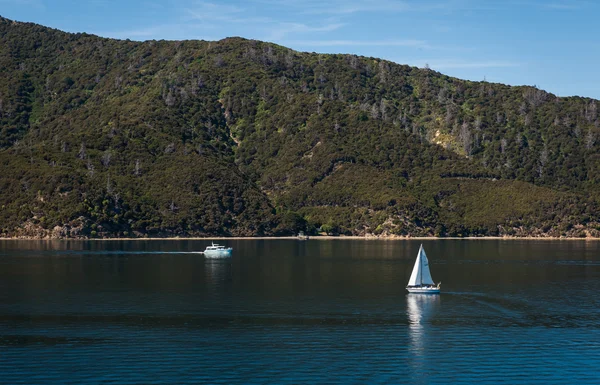 Marlborough Sounds gezien vanaf de veerboot van Wellington naar Picton, Nieuw-Zeeland — Stockfoto