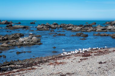 Kaikoura, engebeli sahil şeridi