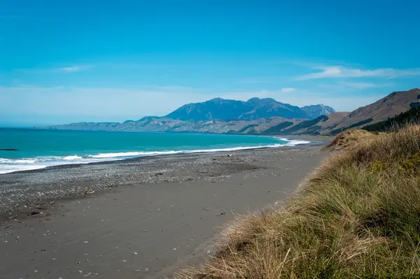 Tagolt partvonala Kaikoura — Stock Fotó