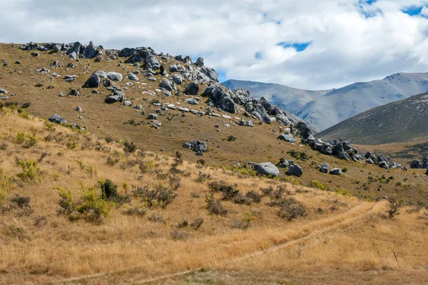 Seltsame Landschaft des Burgberges in den Südalpen, Arthurpass, Südinsel Neuseeland — Stockfoto