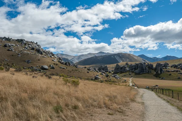 Seltsame Landschaft des Burgberges in den Südalpen, Arthurpass, Südinsel Neuseeland — Stockfoto