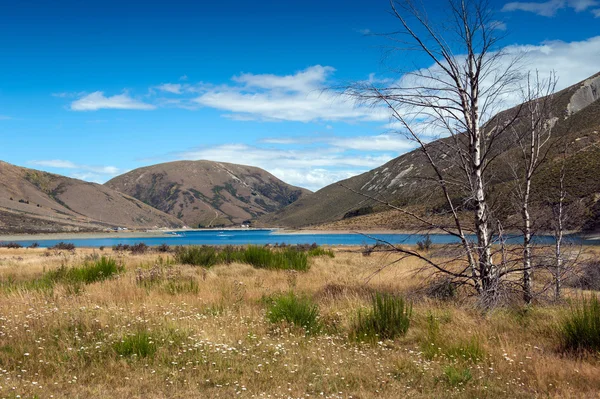 Lake Lyndon, on the Arthurs Pass, Southern Alps, South Island of New Zealand. Korowai-Torlesse Tussocklands Park — Stock Photo, Image