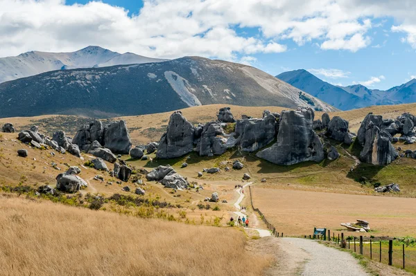 Paisagem estranha de Castle Hill em Southern Alps, Arthur 's Pass, South Island of New Zealand — Fotografia de Stock