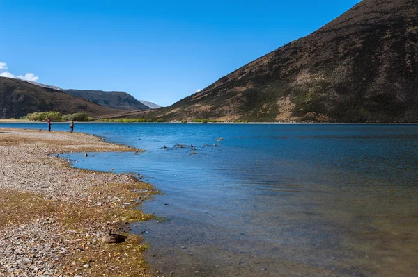 Lago Pearson / Moana Rua Wildlife Refuge localizado no Parque Florestal Craigieburn, na região de Canterbury, Ilha Sul da Nova Zelândia — Fotografia de Stock