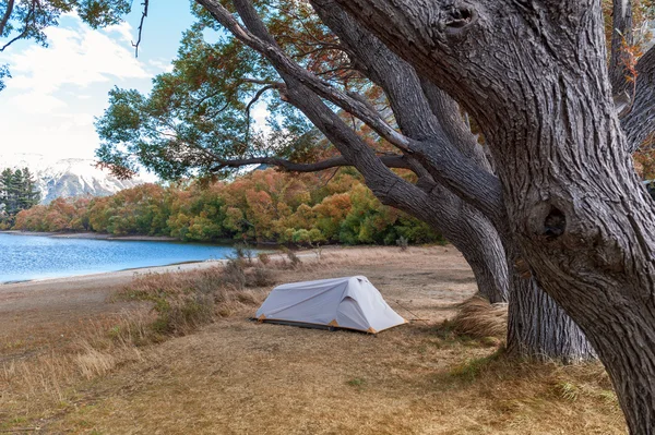 Camping op Lake Pearson / Moana Rua Wildlife Refuge gelegen in Craigieburn Forest Park in de regio Canterbury, op het Zuidereiland van Nieuw-Zeeland — Stockfoto