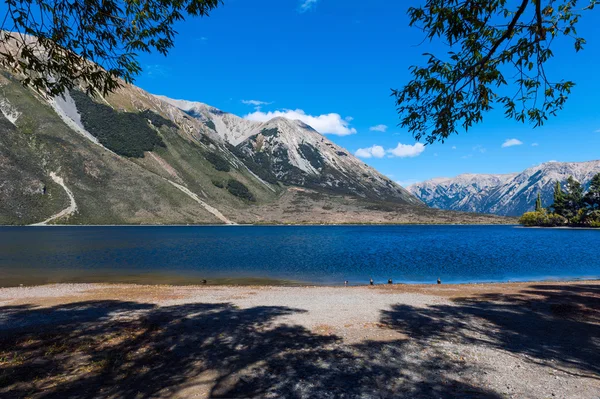 Lago Pearson / Moana Rua Wildlife Refuge localizado no Parque Florestal Craigieburn, na região de Canterbury, Ilha Sul da Nova Zelândia — Fotografia de Stock