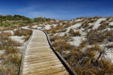 Ahşap geçit ile plajda Tauparikaka Marine Reserve, Haast, Yeni Zelanda
