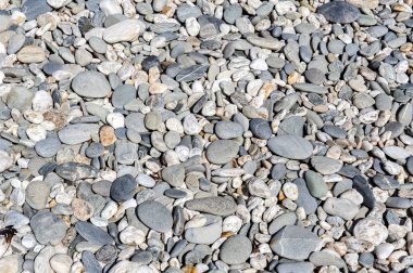 Çakıl taşı arka plan. Çakıllı kumsalda Tauparikaka Marine Reserve, Haast, Yeni Zelanda
