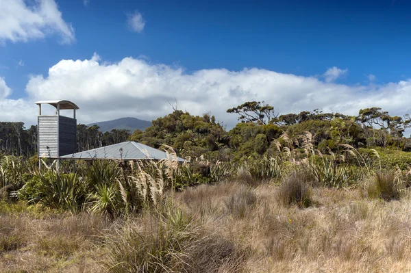 Sterrenwacht toren op Tauparikaka Marine Reserve, Haast, Nieuw-Zeeland — Stockfoto