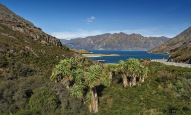 Boyun denilen bir kayalık Ridge bakış açısı Gölü Wanaka ve Lake Hawea arasında Makarora Lake Hawea yolda, Yeni Zelanda onların en yakın noktada duruyor