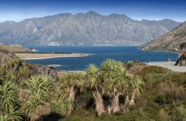 Boyun denilen bir kayalık Ridge bakış açısı Gölü Wanaka ve Lake Hawea arasında Makarora Lake Hawea yolda, Yeni Zelanda onların en yakın noktada duruyor