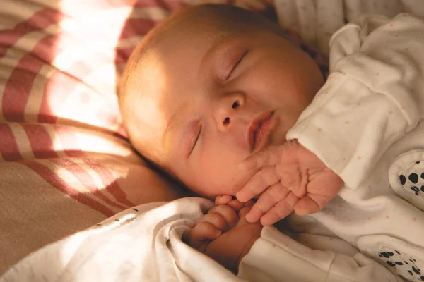 Baby Slaapt Overdag Zon Rechtenvrije Stockafbeeldingen