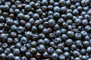 Olgun mavi küçük yaban mersini