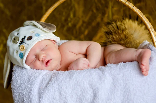 Kulaklı şapka içinde yeni doğan bebek uyur — Stok fotoğraf